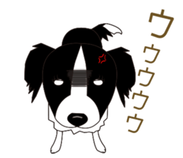 Border collie dog "ICHIGO" sticker #3794951