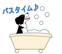 Border collie dog "ICHIGO" sticker #3794953