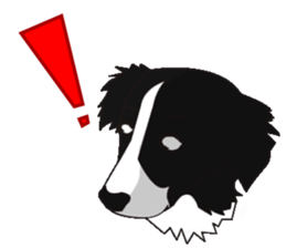 Border collie dog "ICHIGO" sticker #3794954