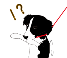 Border collie dog "ICHIGO" sticker #3794956