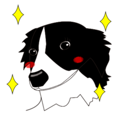 Border collie dog "ICHIGO" sticker #3794960