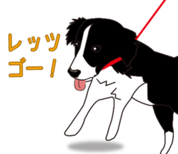 Border collie dog "ICHIGO" sticker #3794964