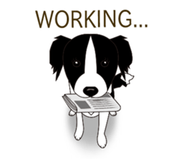 Border collie dog "ICHIGO" sticker #3794968
