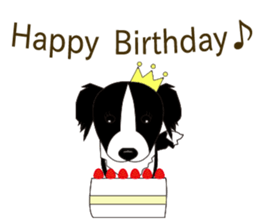 Border collie dog "ICHIGO" sticker #3794972
