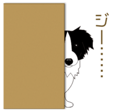 Border collie dog "ICHIGO" sticker #3794973