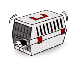 Border collie dog "ICHIGO" sticker #3794974