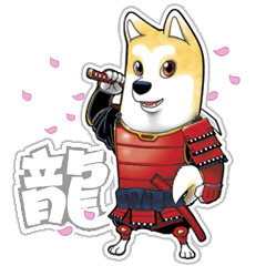Ryu the samurai dog