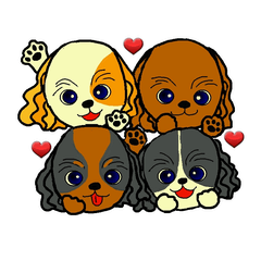 pretty Cavalier sticker