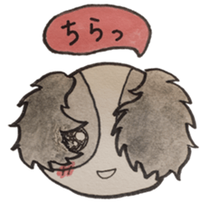 He is energetic today too. sticker #3802463