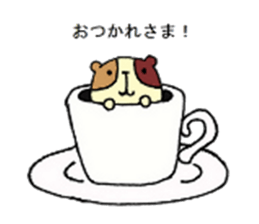 Home of guinea pig. sticker #3802694