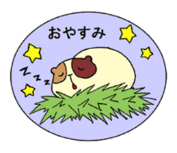 Home of guinea pig. sticker #3802697
