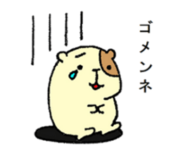 Home of guinea pig. sticker #3802705