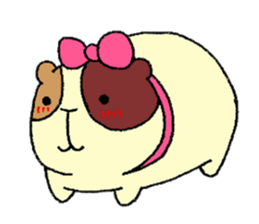 Home of guinea pig. sticker #3802709
