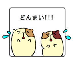 Home of guinea pig. sticker #3802710