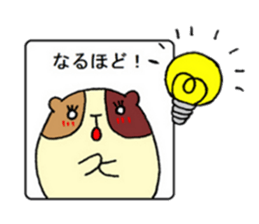 Home of guinea pig. sticker #3802712