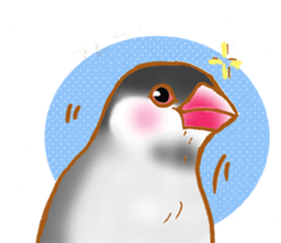 Paddybird Life sticker #3802728