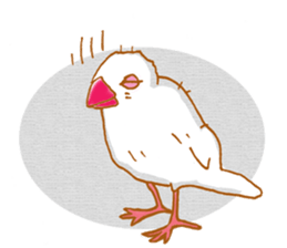 Paddybird Life sticker #3802746