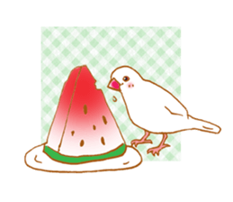 Paddybird Life sticker #3802751
