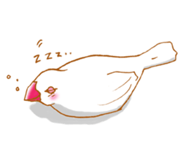 Paddybird Life sticker #3802758