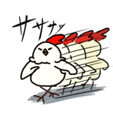 Mr.Rooster sticker #3803747