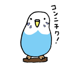 40 kinds of animals sticker #3804251