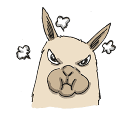 JiNN the BLACK sticker #3805218