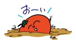 TOMATO-chan often laughs. sticker #3805677