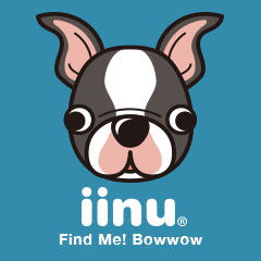 iinu - Boston Terrier