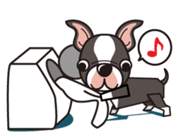 iinu - Boston Terrier sticker #3812529