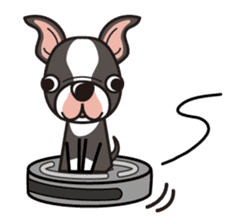 iinu - Boston Terrier sticker #3812530