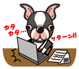 iinu - Boston Terrier sticker #3812531