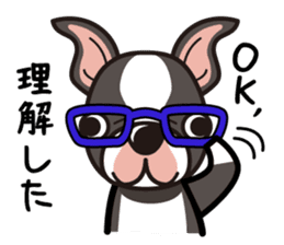 iinu - Boston Terrier sticker #3812532