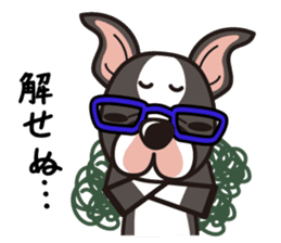 iinu - Boston Terrier sticker #3812533