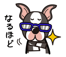 iinu - Boston Terrier sticker #3812534