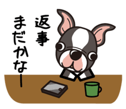 iinu - Boston Terrier sticker #3812536