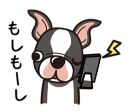 iinu - Boston Terrier sticker #3812537