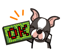iinu - Boston Terrier sticker #3812539