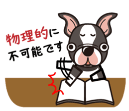 iinu - Boston Terrier sticker #3812541