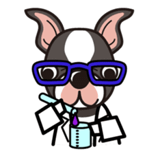 iinu - Boston Terrier sticker #3812543