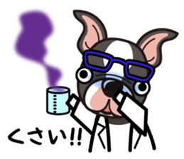 iinu - Boston Terrier sticker #3812544