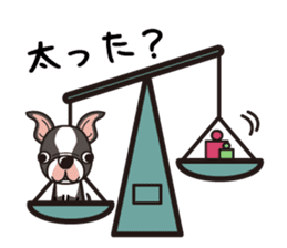 iinu - Boston Terrier sticker #3812546