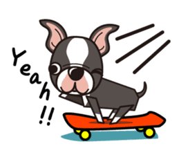iinu - Boston Terrier sticker #3812547