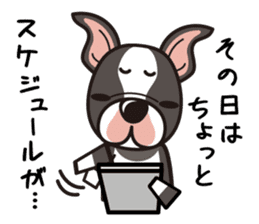 iinu - Boston Terrier sticker #3812549