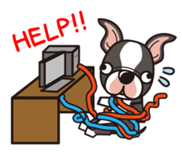 iinu - Boston Terrier sticker #3812550