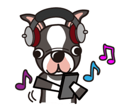 iinu - Boston Terrier sticker #3812552