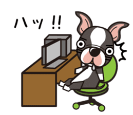 iinu - Boston Terrier sticker #3812556