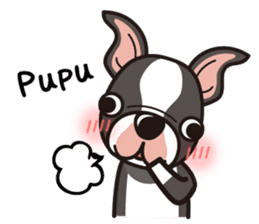 iinu - Boston Terrier sticker #3812559