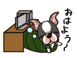 iinu - Boston Terrier sticker #3812561