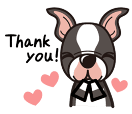 iinu - Boston Terrier sticker #3812563
