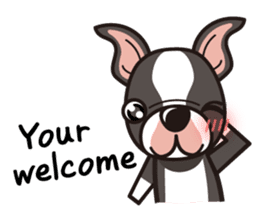 iinu - Boston Terrier sticker #3812564